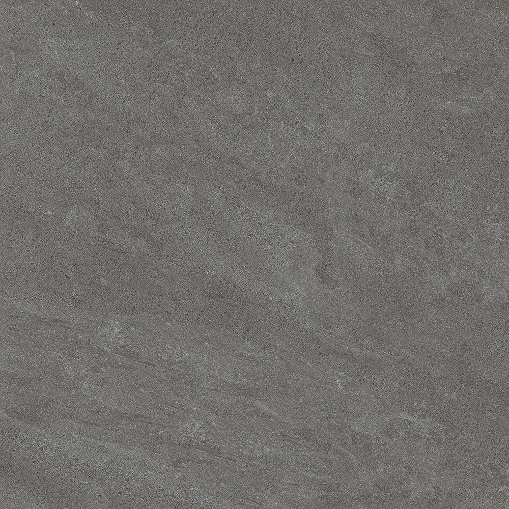 66101M Series 600*600mm porcelain tile