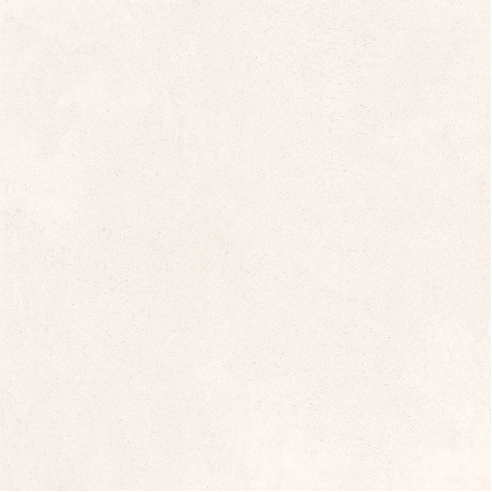 66302 Series 600*600mm porcelain tile