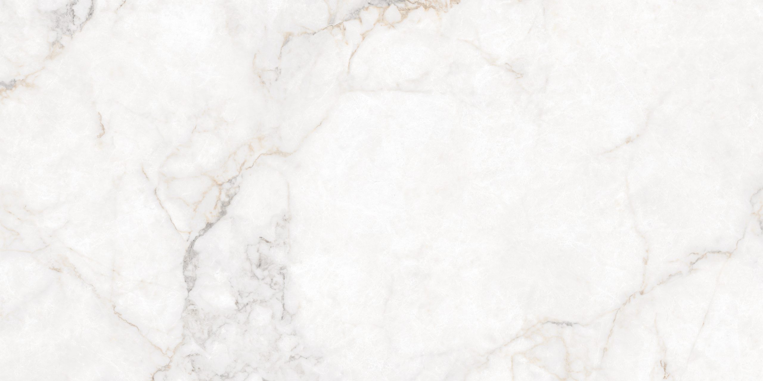 YHJ2173-60120-LW Porcelain Tile